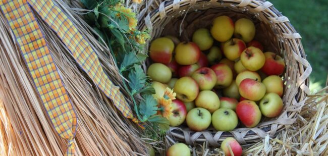 HarvestFestival